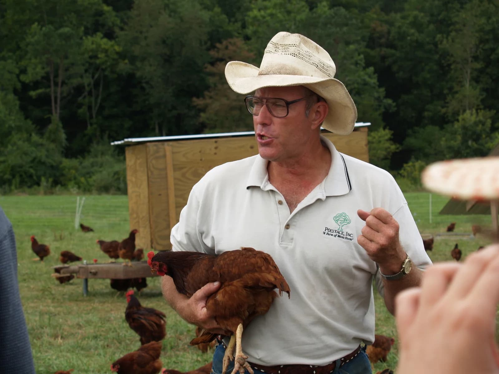 Joel Salatin at Polyface Farm. Photo: Wikipedia Commons / CC BY-SA