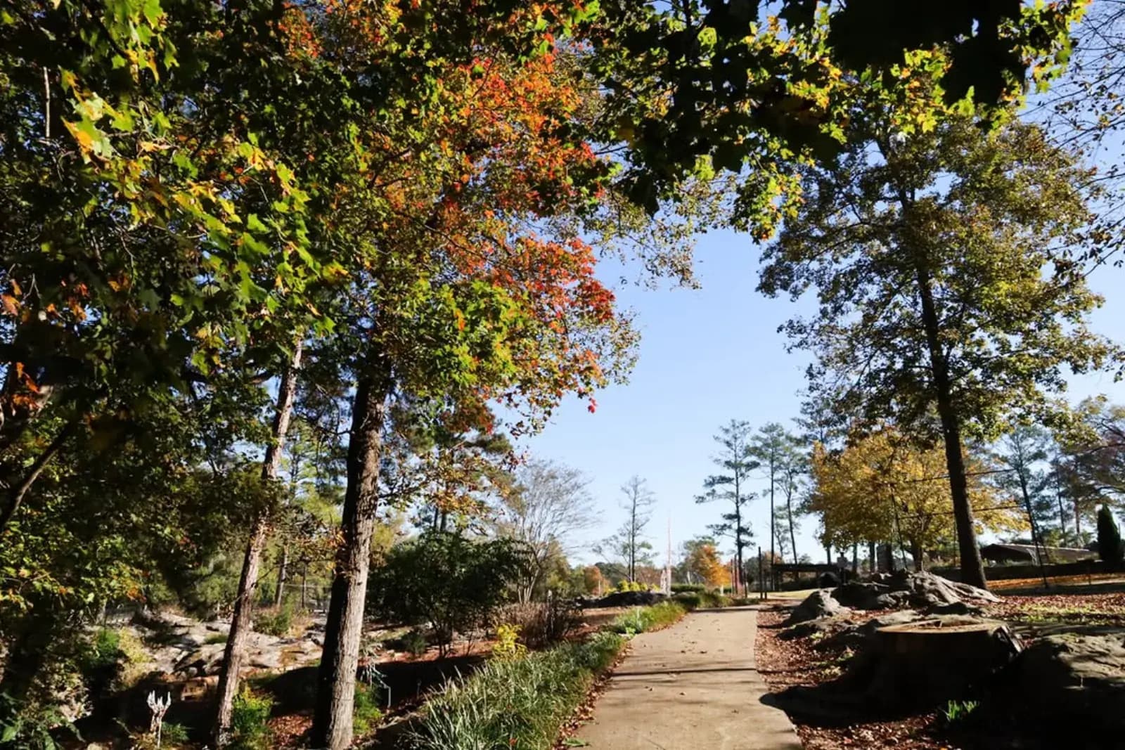 Noccalula Falls in Gadsden, Alabama — a 90-foot waterfall inside city limits