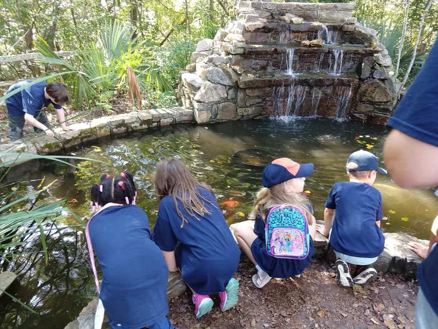 My kids gathered around a waterfall on the bird of prey trail outside the Anniston Museum of Natural History