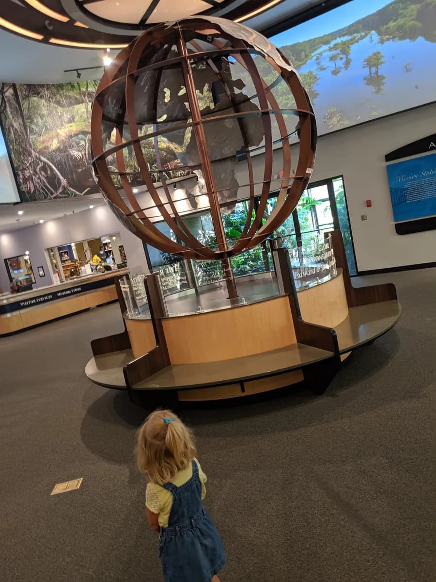 A child explores the lobby of the Anniston Museum of Natural History