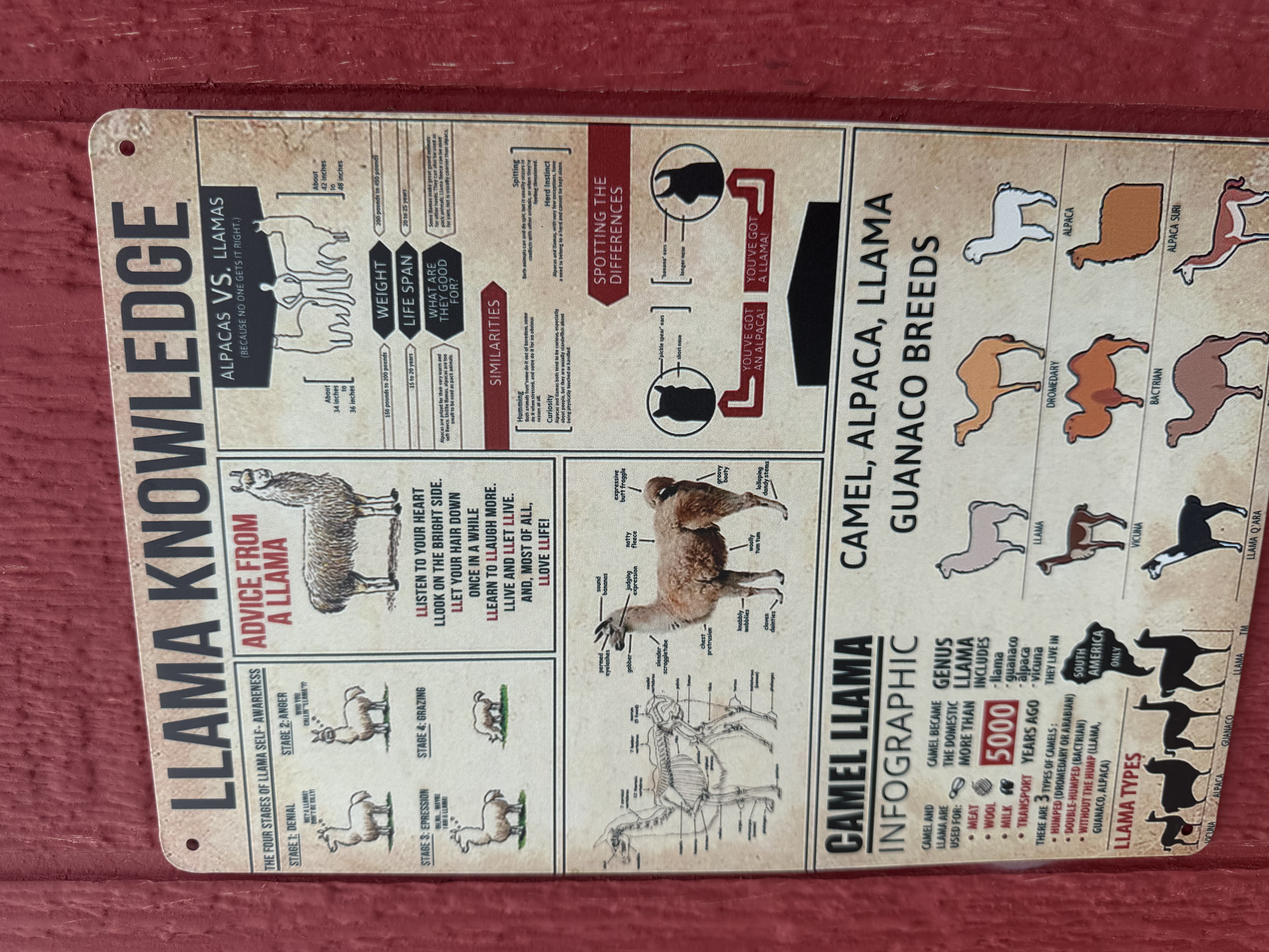 Llama Knowledge sign on the red barn wall