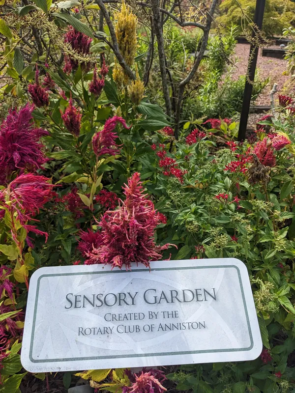 Sensory Garden sign surrounded by blooming celosia, created by the Rotary Club of Anniston