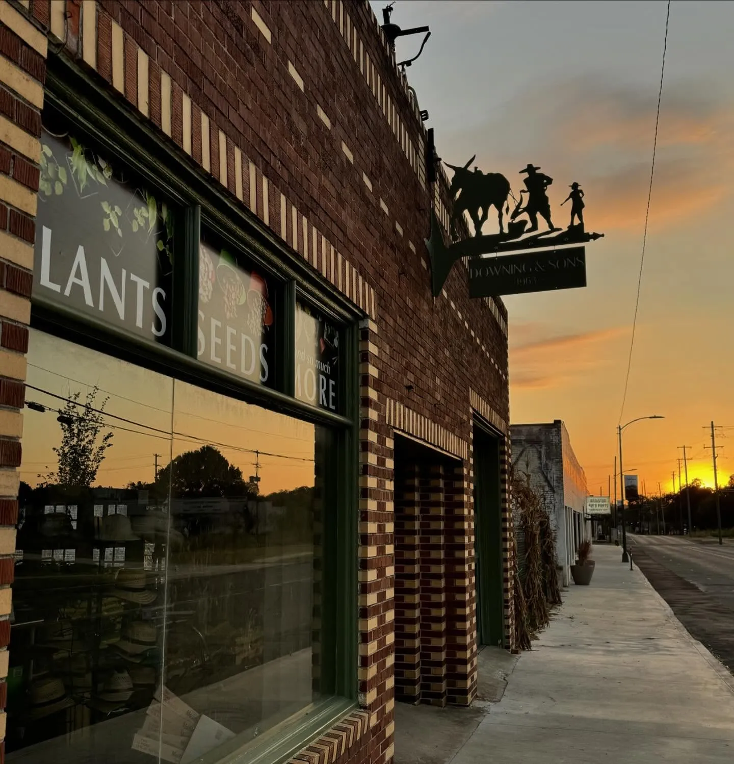 The exterior of Downing and Sons at sunset on Gurnee Avenue in Anniston, with the store's silhouette sign and Plants Seeds storefront windows against an orange sky